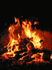 tyme_0-1718527702890.gif