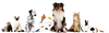 tyme_0-1726991193874.png