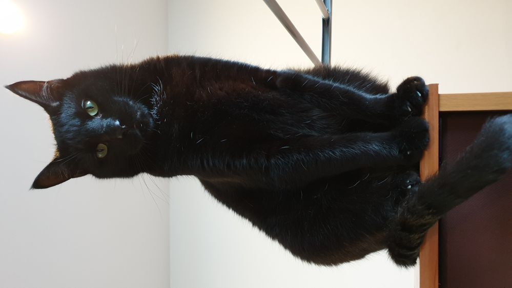 20221219_130312.jpg