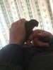 Resized_20180812_115232.jpeg