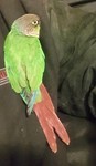 20180815_182112.jpg