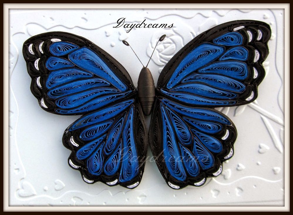 butterflies 1.jpeg