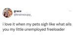 Pets.jpg